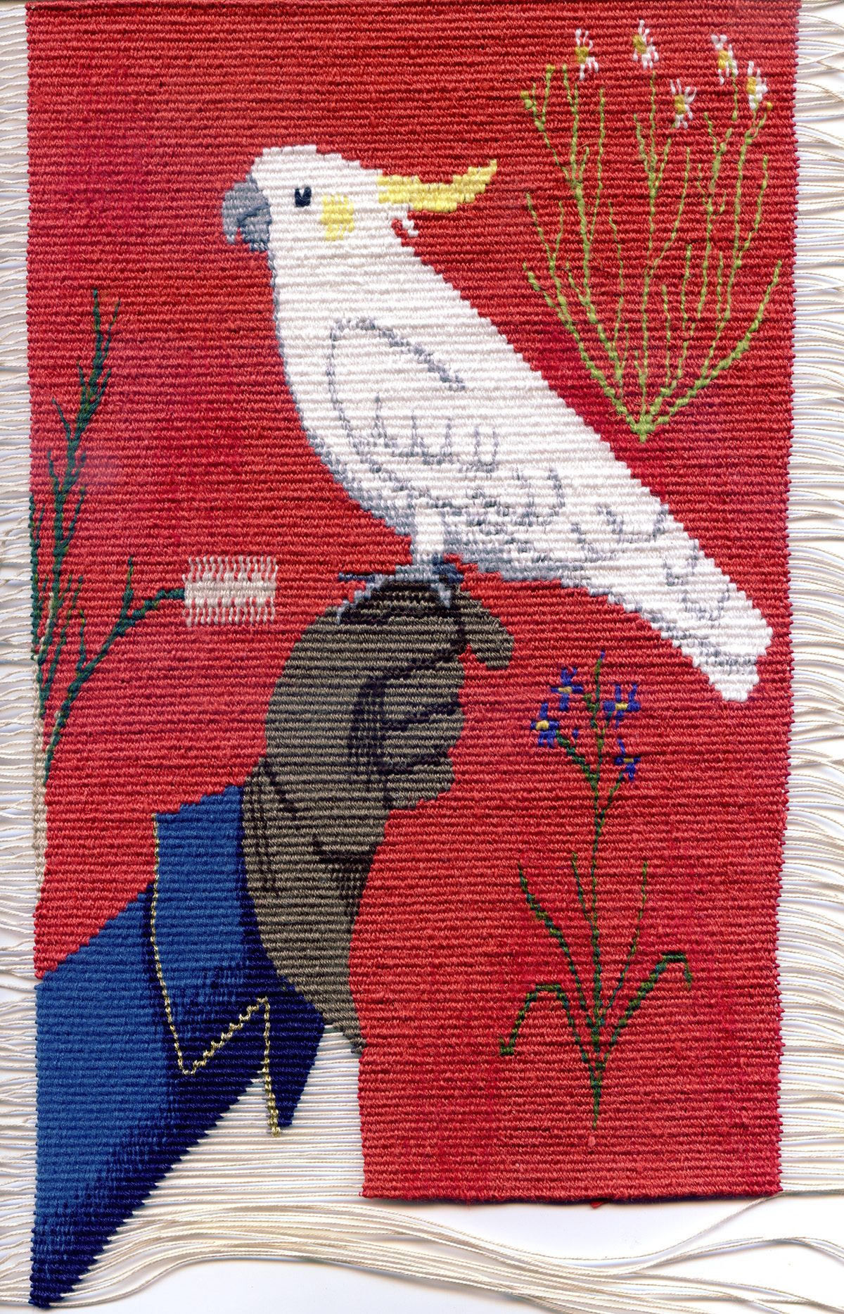 Lady and Bunyip #2 Sulphur Crested Cockatoo